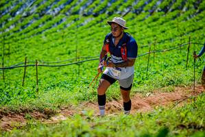 BIB: 1329
                            <button type="button" onclick="openModal(19163772)" class="btn btn-primary btn-sm float-right btn-popup" data-toggle="modal" data-target=".modal-high-quality">
                        <i class="fas fa-shopping-cart"></i> Add to Cart
                    </button>
                                            <button type="button" onclick="isThisMe(19163772, true)" class="btn btn-success btn-sm float-right btn-popup btn-isme hidden" data-toggle="tooltip" data-placement="bottom" title="นี่คือรูปของคุณใช่ไหม คลิกที่นี่เพื่อเอาเข้าอัลบั้ม">
                        <i class="fas fa-plus"></i> Add to album
                    </button>
                    <button type="button" onclick="isThisMe(19163772, false)" class="btn btn-warning btn-sm float-right btn-popup btn-isnotme hidden">
                        <i class="fas fa-ban"></i> Remove from album
                    </button>